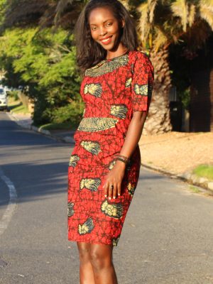 Straight Pleated Dress